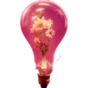 💞1🇵🇪Clásica 21