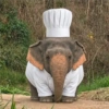 Elefante Chubby 🐘 1 15