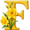 ALFABETO FLORAL 26