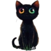 Gatitos❥☯︎ͫ8🇲🇽Clásica 11 🌌
