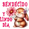 Buenos días☀️16 🇲🇽 7