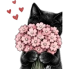 Gatitos❥☯︎ͫ7🇲🇽Clásica 15 🌸