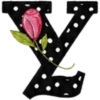 ALFABETO CON ROSA🌹⚫️⚪️ 11