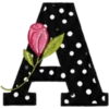 ALFABETO CON ROSA🌹⚫️⚪️ 20