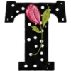 ALFABETO CON ROSA🌹⚫️⚪️ 28