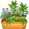 Flowers💐❥☯︎ͫ5🇲🇽Clásica 12
