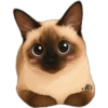 Gatitos❥☯︎ͫ8🇲🇽Clásica 10 😳