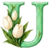 ALFABETO FLORAL 23