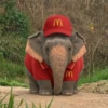 Elefante Chubby 🐘 1 16