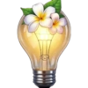 💞1🇵🇪Clásica 11