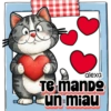 Mensajito peludo 🐱🌷♥️ 10