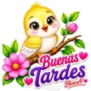 PAJAROS CON TEXTO 💬 14