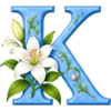 ALFABETO FLORAL 18