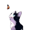 Gatitos❥☯︎ͫ8🇲🇽Clásica 9 🦋