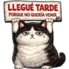 LLEGUÉ TARDE PORQUE NO QUERÍA VENIR