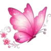 Butterfly🦋❥☯︎ͫ1🇲🇽Clásica 22