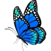 Butterfly🦋❥☯︎ͫ1🇲🇽Clásica 27