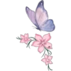 Butterfly🦋❥☯︎ͫ1🇲🇽Clásica 21