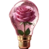 💞1🇵🇪Clásica 24