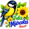 PAJAROS CON TEXTO 💬 21
