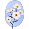 Flowers💐❥☯︎ͫ6🇲🇽Clásica 10