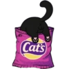 Cat's
