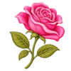 ALFABETO CON ROSA🌹⚫️⚪️ 23