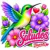 PAJAROS CON TEXTO 💬 18
