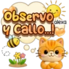 Riki ha llegado! ❤️🐱☀️ 24