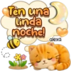 Riki ha llegado! ❤️🐱☀️ 18