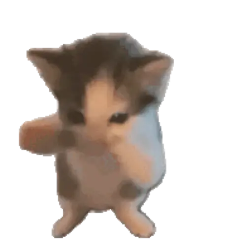 Dançando, dançando e dançando 🕺💃🪩 6
