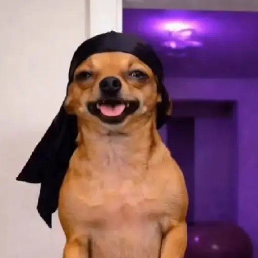 Tiktok bailes comentarios 4