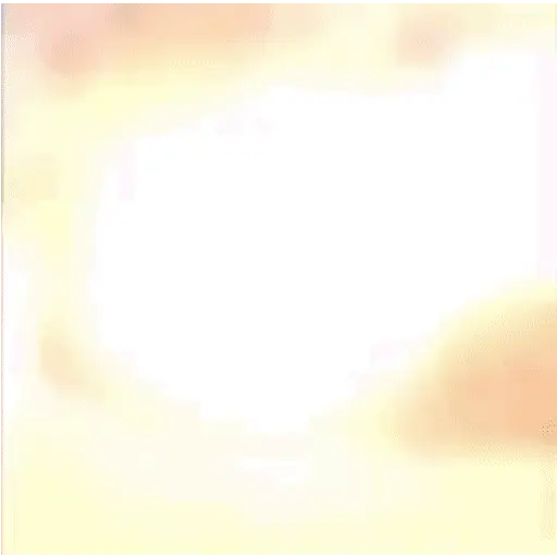Cat 5