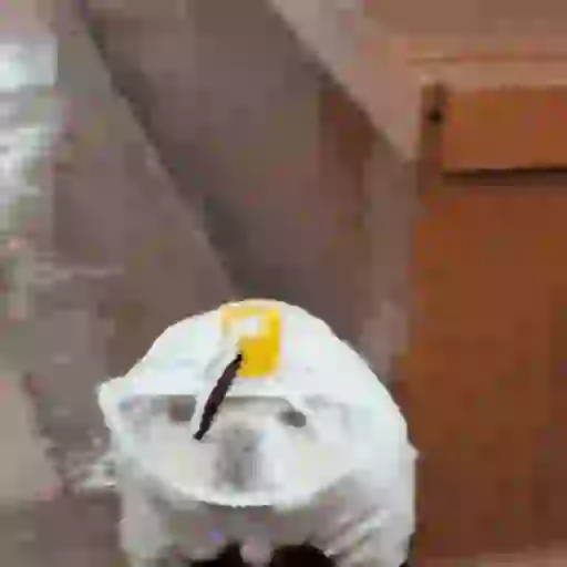 Lluvia 🌧️ 5