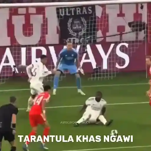 Gif tiktok memes football 3 12