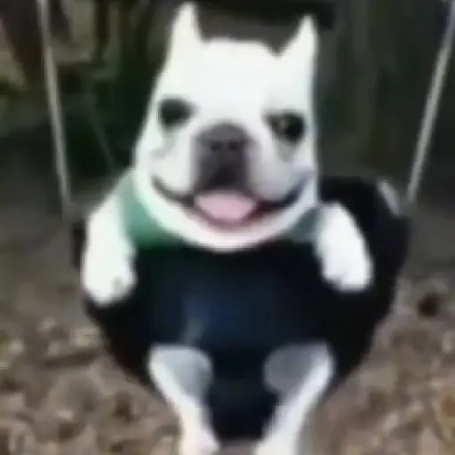 Cachorros 3