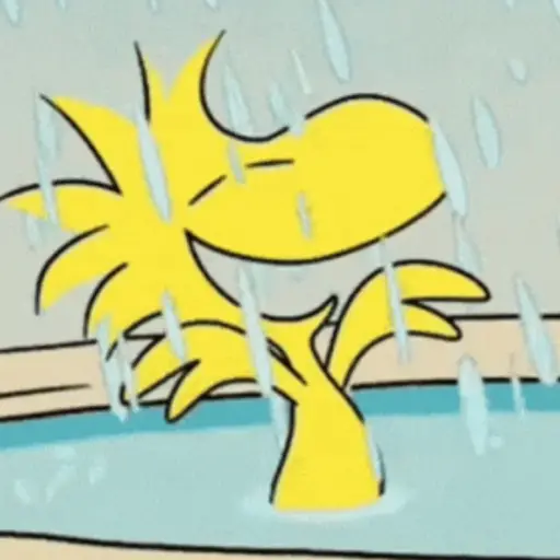 Lluvia 🌧️ 19
