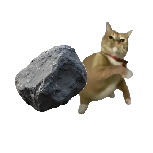 Gato Tomate 🐱 🍅 9