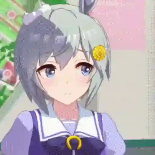 Seiun sky umamusume 8