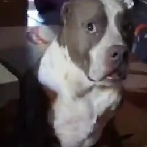 Mood Impaktada TikTok ! 4
