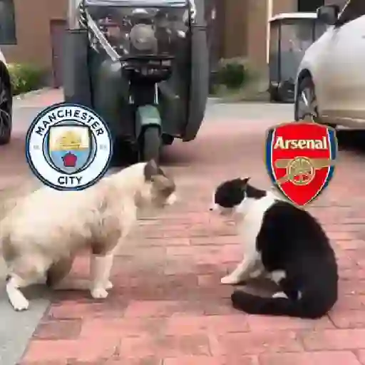 Gif tiktok memes football 3 3