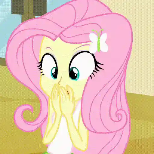  My Little Pony Equestria Girls 22