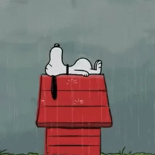 Lluvia 🌧️ 6