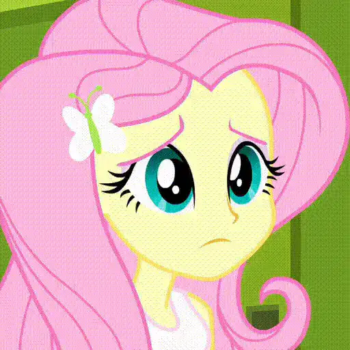  My Little Pony Equestria Girls 13