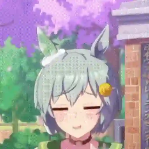 Seiun sky umamusume 13