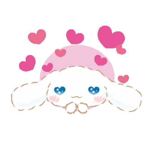 Sanrio Amor 🩷🩵 13