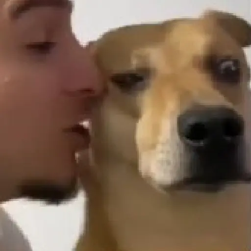 Mood Impaktada TikTok ! 12