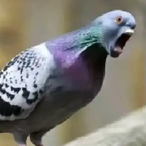 Mood Impaktada TikTok ! 16