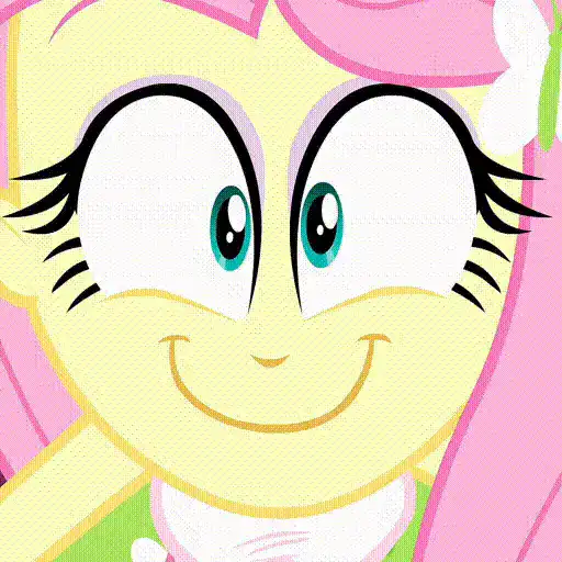  My Little Pony Equestria Girls 8