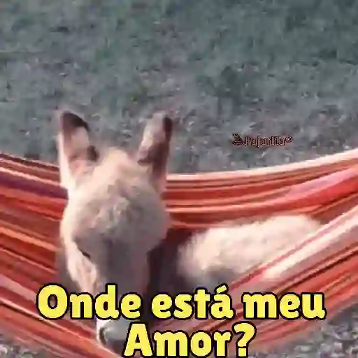 Namorados* 12